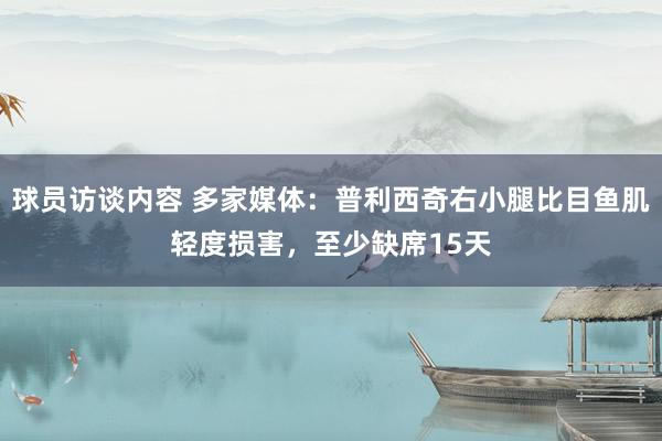 球员访谈内容 多家媒体：普利西奇右小腿比目鱼肌轻度损害，至少缺席15天