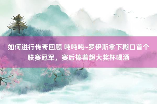   如何进行传奇回顾 吨吨吨~罗伊斯拿下糊口首个联赛冠军，赛后捧着超大奖杯喝酒