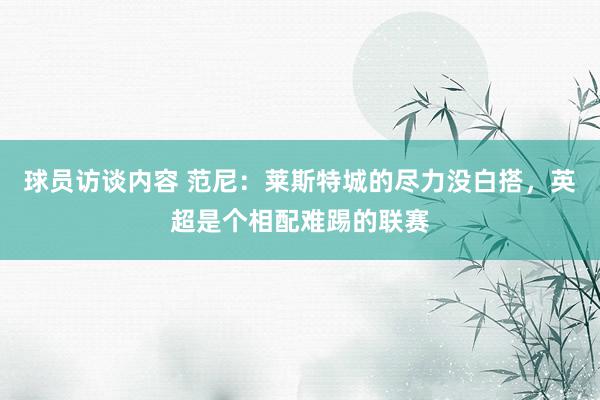 球员访谈内容 范尼：莱斯特城的尽力没白搭，英超是个相配难踢的联赛